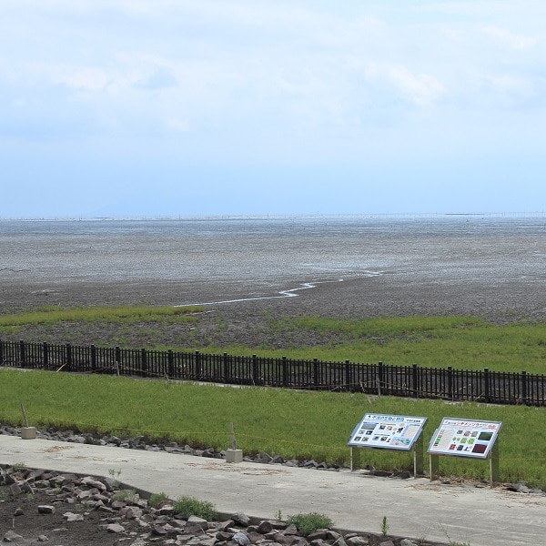 「シギの恩返し米」の産地、佐賀県東よかに行ってきました！